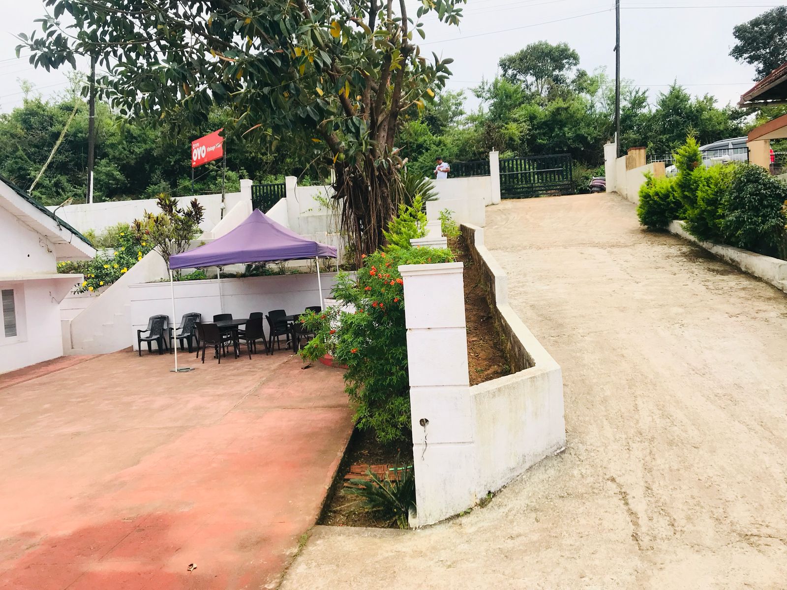 Green surroundings at homestay in Coorg